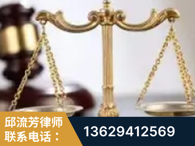 三亚-委托诉讼代理人出庭
